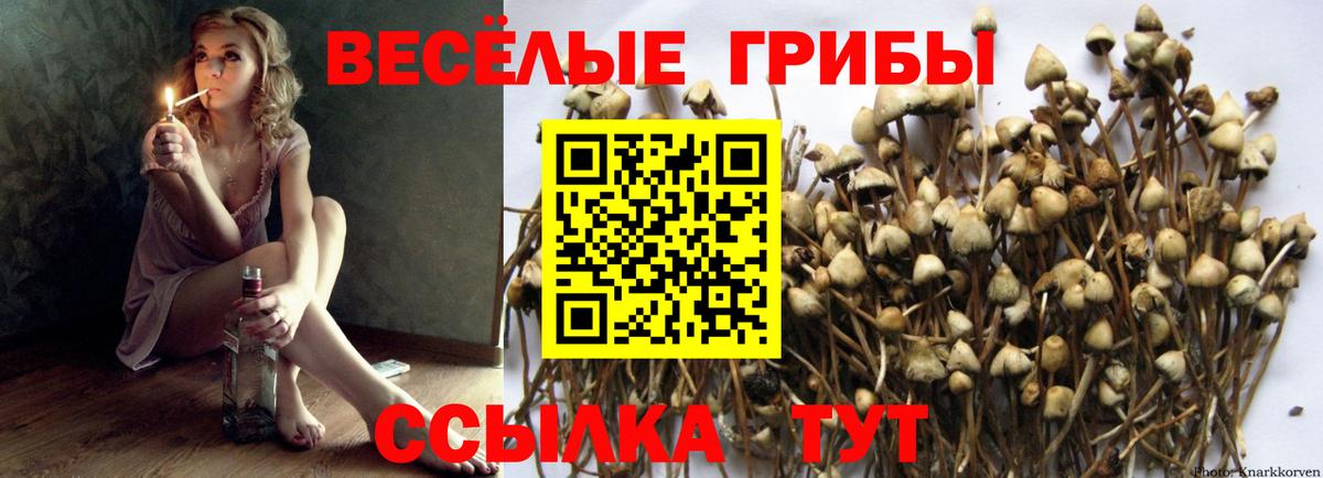 Галлюциногенные грибы GOLDEN TEACHER  Вход с VPN  где продают   Кунгур 
